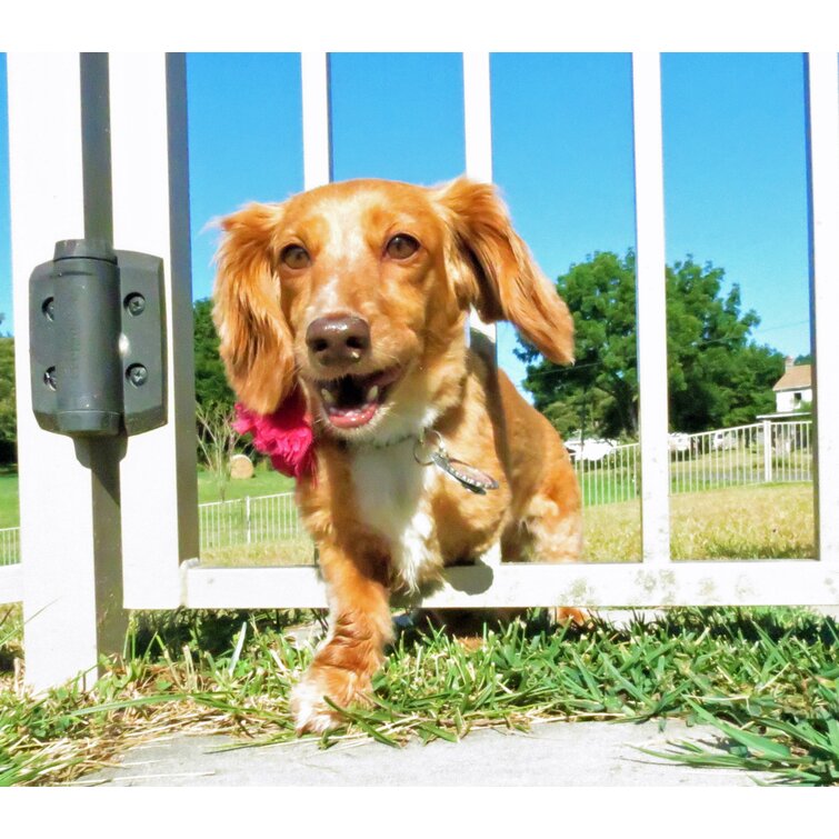 Puppy panels store for iron fence